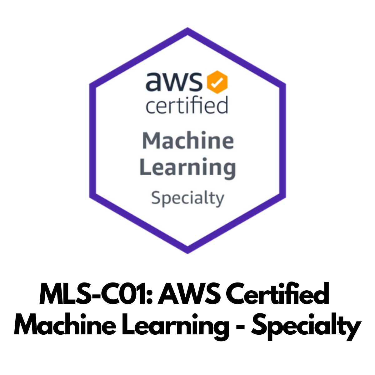 Aws certified 2024 machine learning